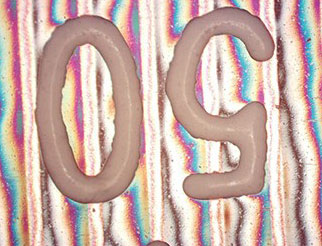 三目显微镜光学原理